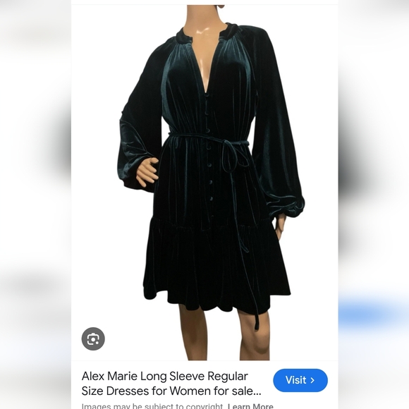 Alex Marie NWT Dark Green Velvet Long Sleeve Dress size 6 - Picture 3 of 6